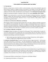 Unit Five Lecture Note.pdf